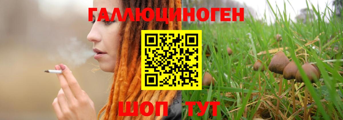 Галлюциногенные грибы Psilocybe  где можно купить   Елабуга  Псилоцибиновые грибы GOLDEN TEACHER  Вход с VPN 